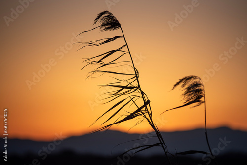 sunset in the mountains