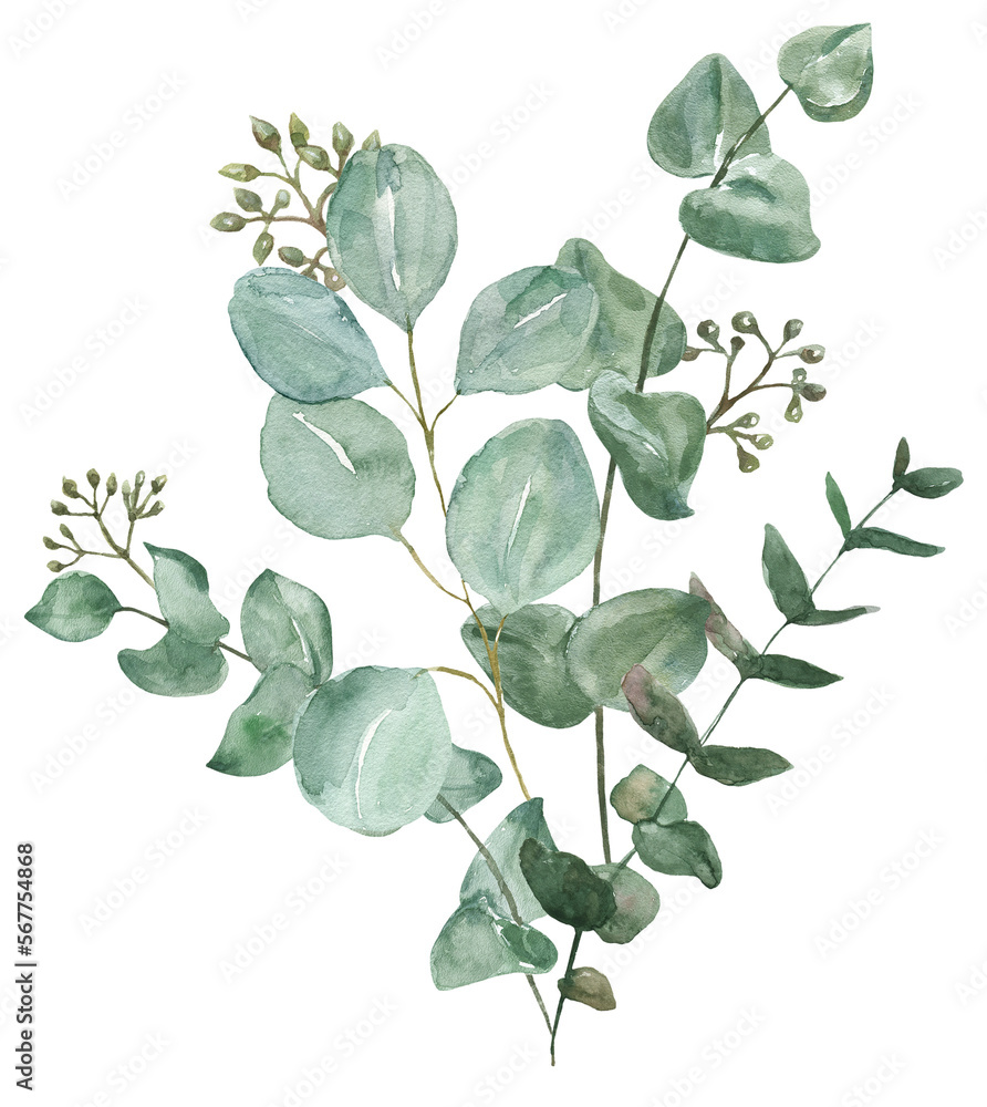 Watercolor floral arrangement. Green eucalyptus branches bouquet