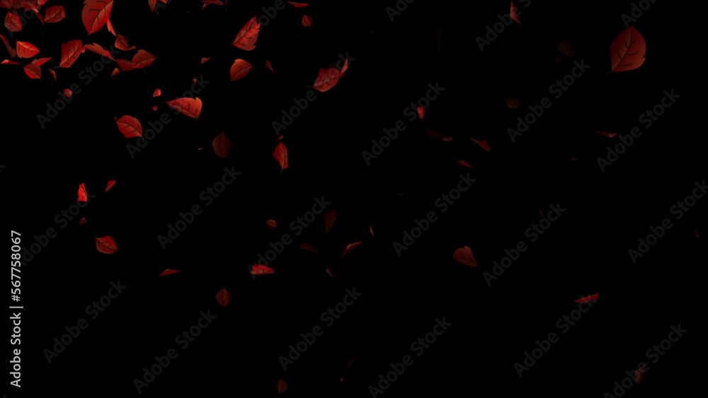 Autumn leaves falling in transparent animation, Loop and alpha video with leaves animation Autumn leaves falling in transparent animation, Loop and alpha video with leaves animation
