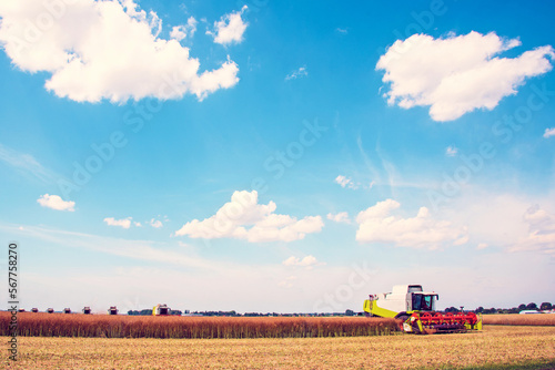 Agrarian industrial landscape with combine harvesters picking up hay on a rape field on a sunny day against a background of cloudy sky.  good prosperity  food safety  recruitment - endpection 