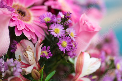 Assorted Flowers blooming macro photography