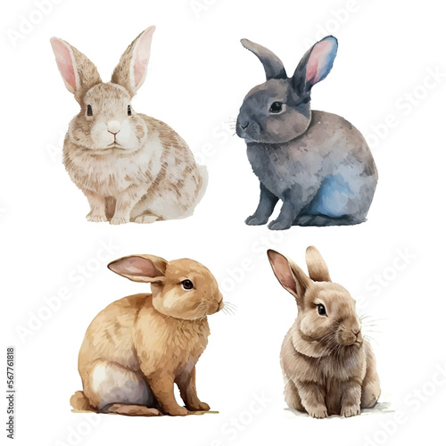 Watercolor illustration of a cute fluffy grey rabbit in a white background