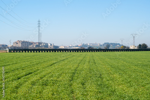 Campo de cultivo de trigo con acueducto y ciudad de fondo.