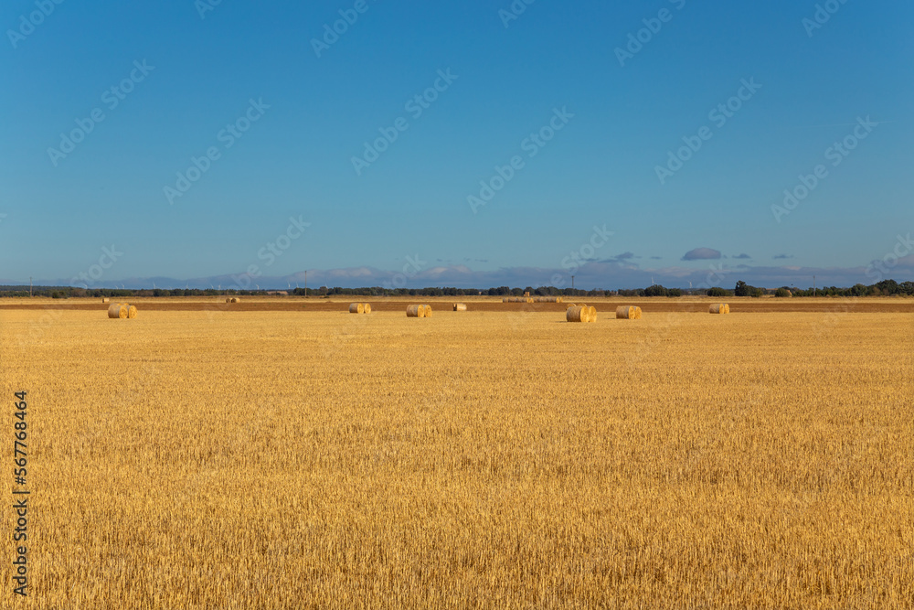 view of a crop field in Spain