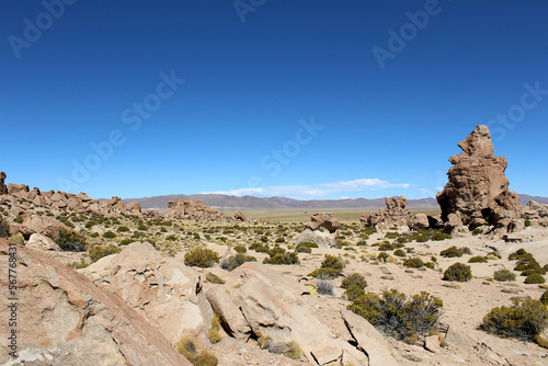 Desert landscape at Valle de Rocas  Valley of the Rocks   Bolivia  South America.