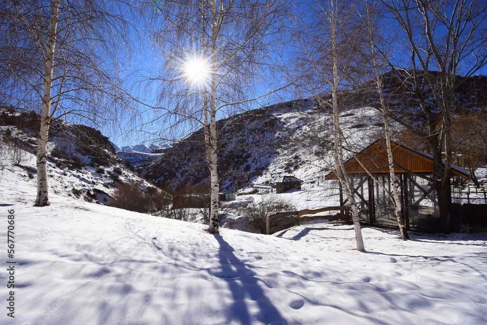 relaxation. day off. sunny day in the mountains. photo. relaxation. day off. sunny day in the mountains. photo.
