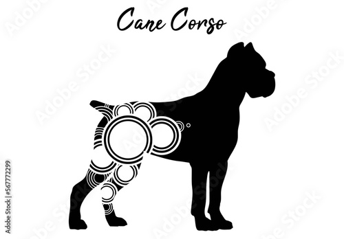 Cane corso with circular shapes
