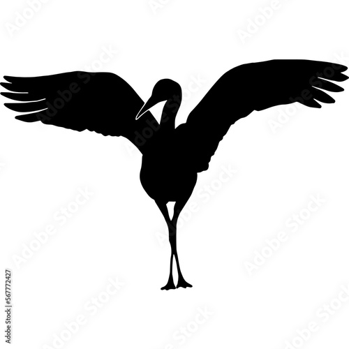 silhouette of a sandhill crane spread its wings in front view 