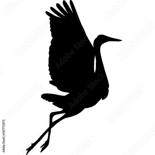 silhouette of a sandhill crane flapping its wings in side view 