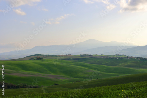 Landscape from Tuscany, Province of Siena, Italy.  © Travel Photos
