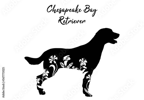 Chesapeake bay retriever with floral design