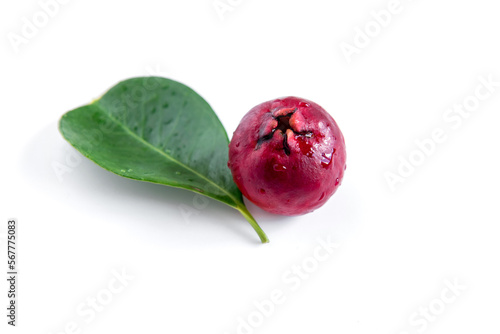 Red Cattley guava fruit on white background close up (Psidium cattleyanum) photo
