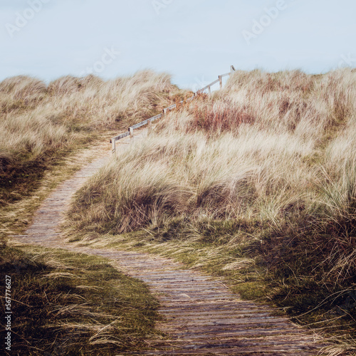 Fotografiet Winding Path To Findhorn Beach, Scottish Highlands