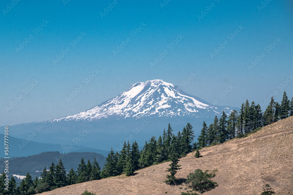 Fototapeta premium Mount Adams Via Hood River Mountain in Oregon