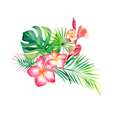 Botanical composition of flowers of plumeria, palm branch and monstera. Tropical plants. Watercolor illustration on an isolated background.