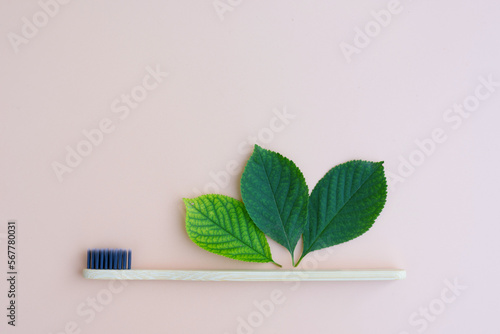 Copy space on beige background with three green leaves and bamboo wooden tooth brush. Concept of teeth health caring and no plastic organic eco friendly natural zero waste concept.