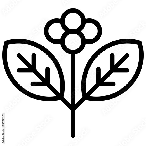 coffee tree ilustration with outline