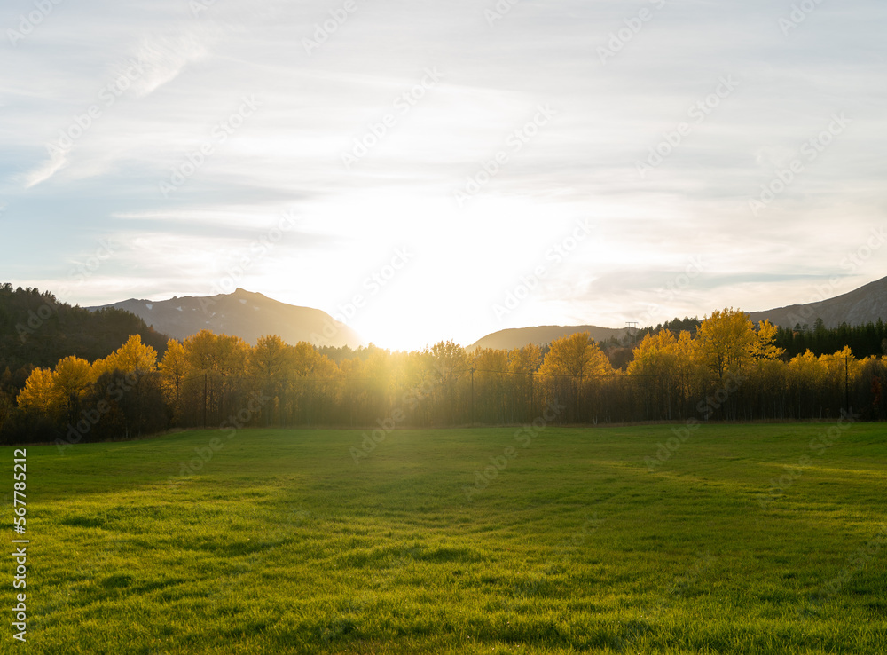Naklejka premium Sunrise on field