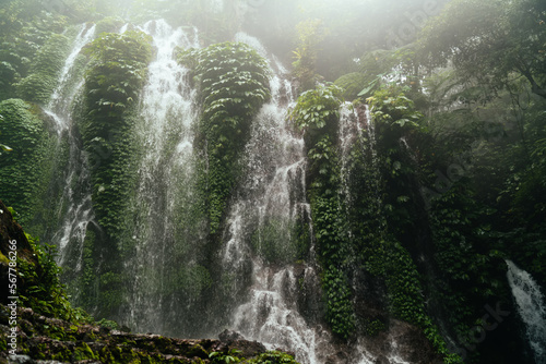 Cascading waterfall flowing through plants