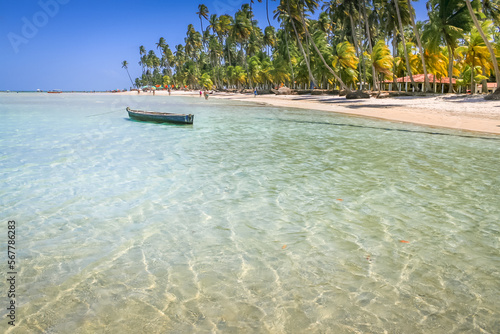 Obraz na płótnie Carneiros Beach and boat in Pernambuco, Northeastern Brazil, South America w salonie