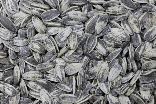 whole roasted and salted sunflower seeds for background use