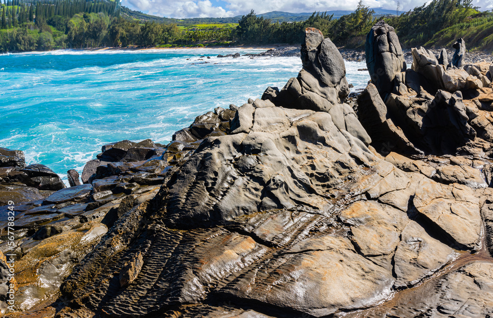The Dragons Teeth on Makaluapuna Point, Kapalua, Maui, Hawaii, USA The Dragons Teeth on Makaluapuna Point, Kapalua, Maui, Hawaii, USA