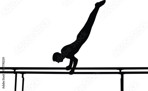 parallel bars gymnast to competition in artistic gymnastics