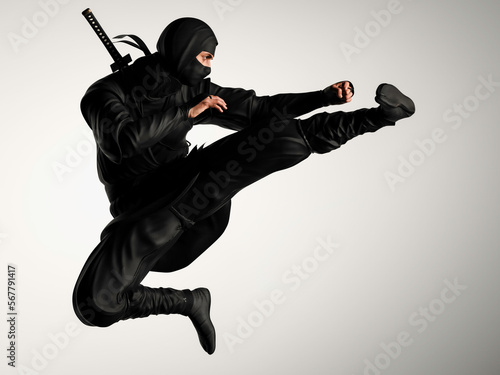 Fényképezés A ninja doing a flying kick