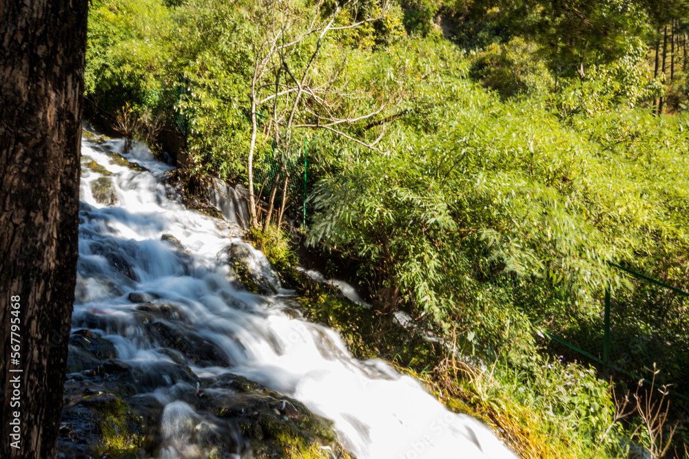 Woodland waterfall in Nainital, Uttrakhand Woodland waterfall in Nainital, Uttrakhand
