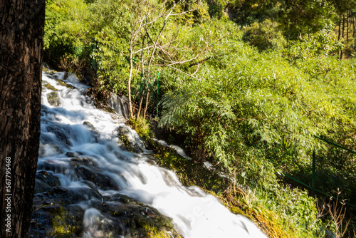 Woodland waterfall in Nainital, Uttrakhand 