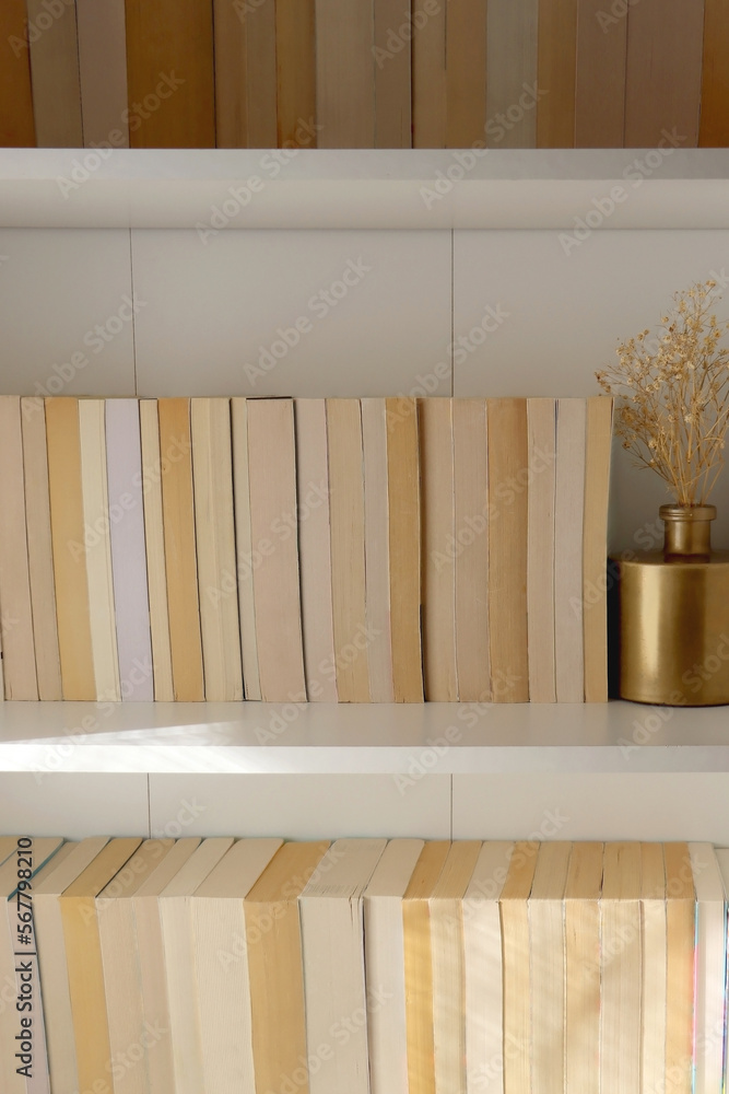 Bookshelf with books turned backwards and minimal decorations. Bookshelf with books turned backwards and minimal decorations.