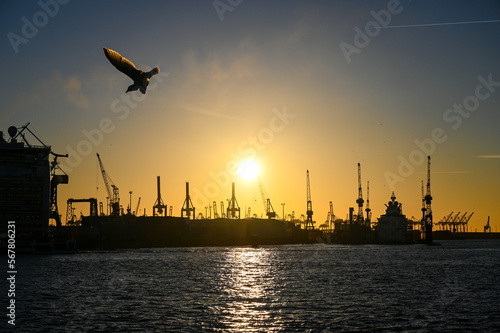 Sunset over the harbor. Cranes in shipyard in Hamburg, Germany.  Jackup rig, Oil platform and Container crane in Dockyard. Ship port.