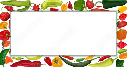Rectangular banner with different types of peppers. Sweet peppers. Mild, medium hot Chili peppers. Super hot peppers. Vegetables. Vector illustration isolated on white background. Horizontal template.