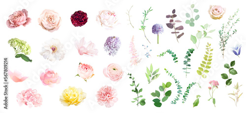 Pink rose, hydrangea, dahlia, white peony, magnolia, ranunculus, spring garden flowers, eucalyptus, greenery
