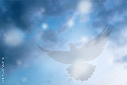 Light Silhouette of bird on colored sky background photo