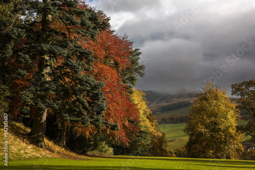 Autumn colour and a view over the Moorfoot Hills from the grounds of Barony Castle  Eddleston  Scottish Borders  UK