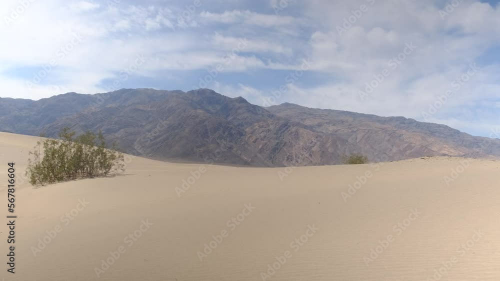 landscape death valley national park mojave sand dunes desert landscape harsh high temperatures concept climate change global warming extreme heat drought landscape death valley national park mojave sand dunes desert landscape harsh high temperatures concept climate change global warming extreme heat drought