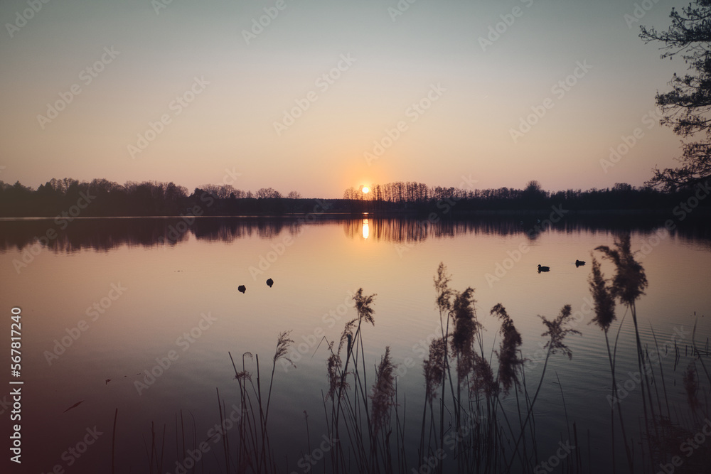 See im Abendrot mit Vögel - Sunset - Landscape - Beautiful sunset scene over the lake and silhouette hills in the background - Sunrise over sea - 