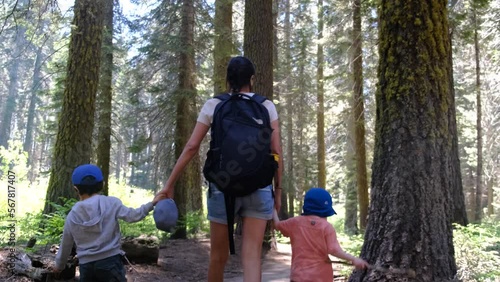 Family mother with children 2 and 5 years old walking in Yosemite National Park California redwoods sequoia USA healthy lifestyle summer vacations natural environment