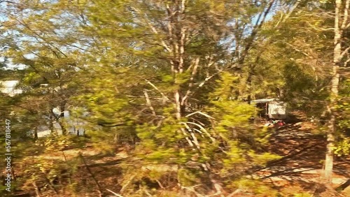 The Approach to Pell City.  The view from a train as it passes through woodland on the approach to Pell City in Alabama, America.