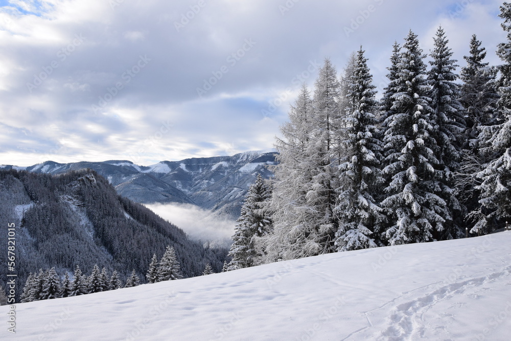 Winterwanderung