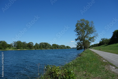 An der Neuen Donau (Wien)