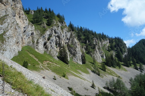 In den Eisenerzer Alpen (Steiermark)