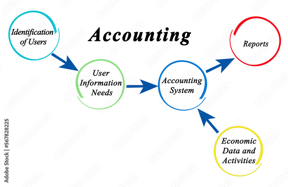 Accounting System: Inputs and Output Accounting System: Inputs and Output
