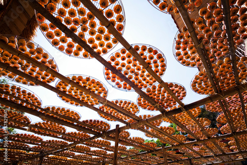 Process of Making Dried Persimmon during Windy Autumn in Hsinpu of Hsinchu, Taiwan. the Chinese name of the factory called 