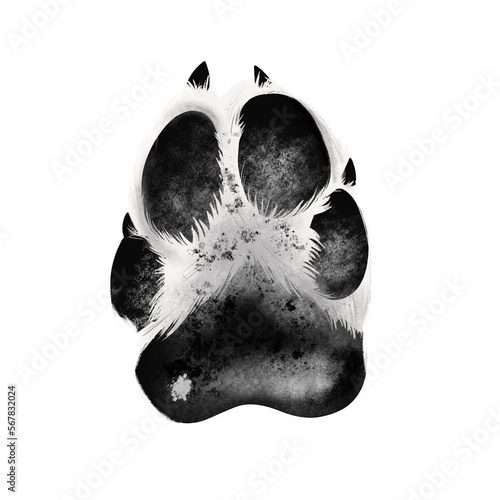 Dog Paw Illustration, textured dog paw
