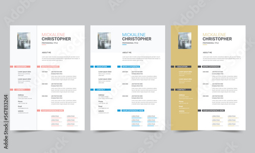 Professional resume business layout, Creative cv template vector design