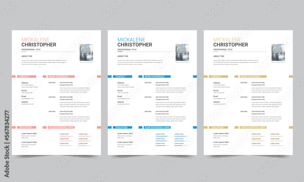 Professional resume business layout, Creative cv template vector design