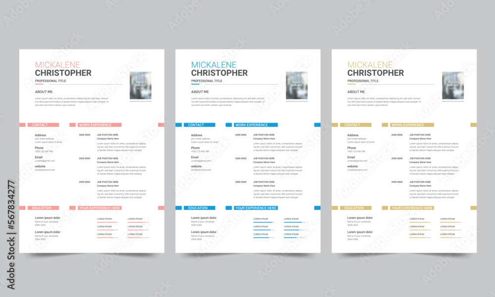 Professional resume business layout, Creative cv template vector design Professional resume business layout, Creative cv template vector design