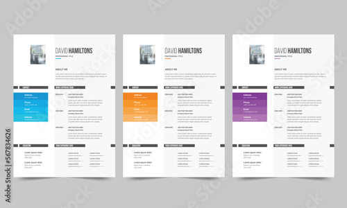 Professional resume business layout, Creative cv template vector design